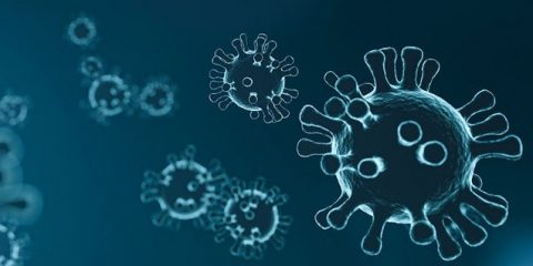 Qué conviene saber del coronavirus