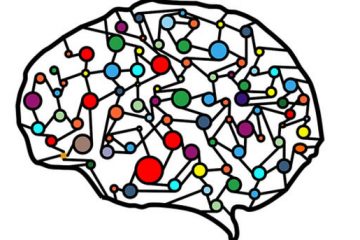 Qué es la plasticidad del cerebro